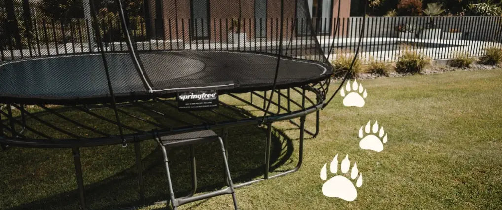 Trampoline 150 kg : La Preuve de Résistance… Même Face à Deux Ours !