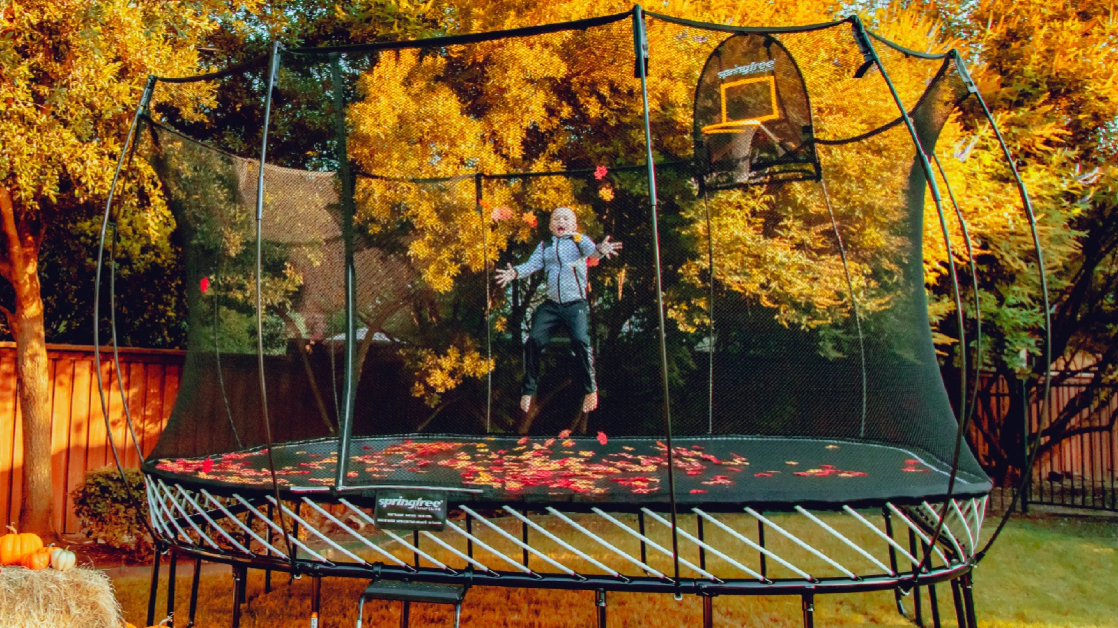 Comparatif trampoline extérieur : quel modèle choisir en 2026 ? Focus sur Springfree